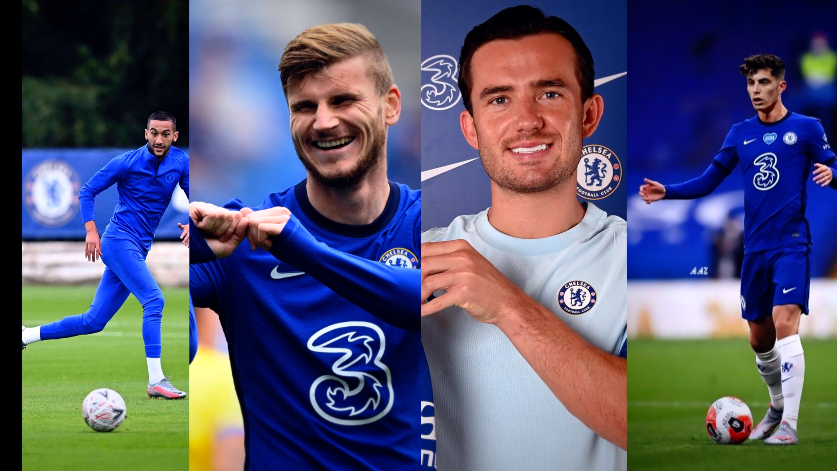 小特与墨菲 小特与墨菲